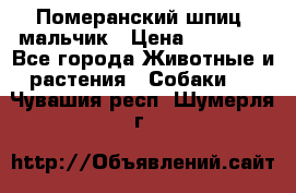 Померанский шпиц, мальчик › Цена ­ 35 000 - Все города Животные и растения » Собаки   . Чувашия респ.,Шумерля г.